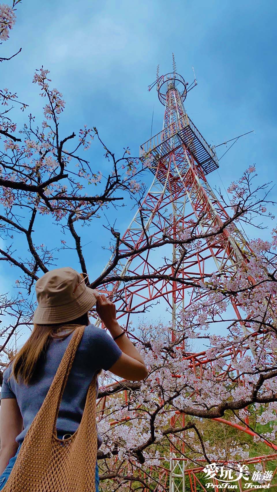 阿里山東京鐵塔櫻花