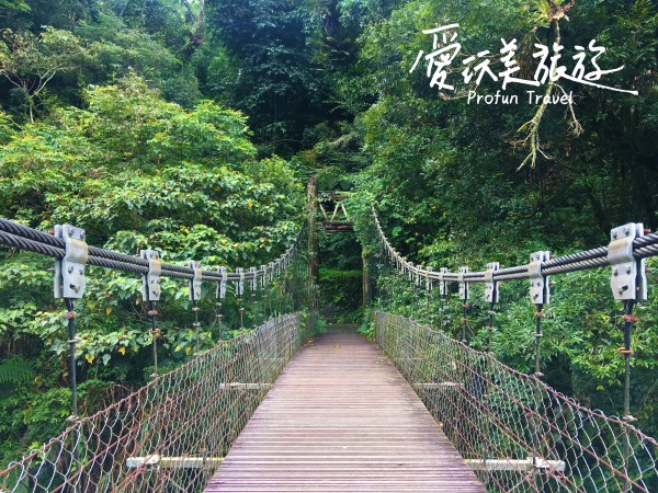 阿里山步道 樂米吊橋 景觀